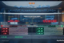 انهيار الأسهم السعودية وتراجع قيمة التداول بنسبة كبيرة يكشف عنه الخبراء بطريقة مثيرة