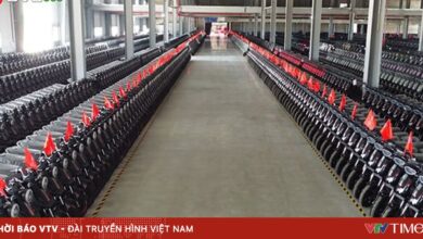 شركة JVCeco تركز على زيادة قدراتها المحلية في تصنيع السيارات الكهربائية تعزيزا للتحول الأخضر في 2026