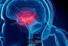 كيف تؤثر الاستراتيجيات البسيطة على تقليل عمرك البيولوجي بمقدار ثلاثة أشهر دون أن تدرك