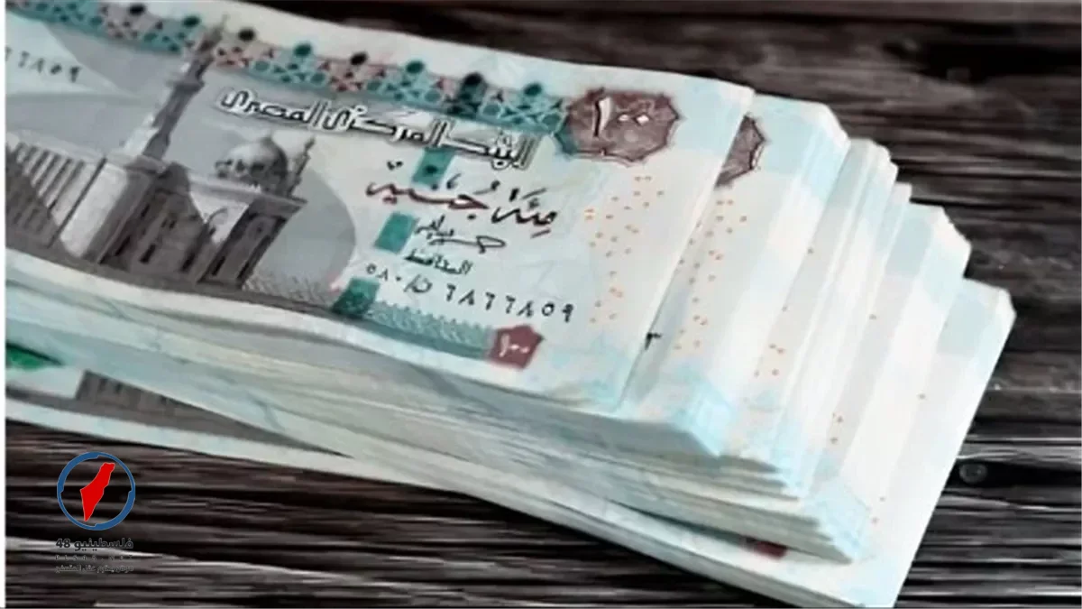 موعد زيادة المرتبات في مصر 2026.. لتحسين مستوى المعيشة