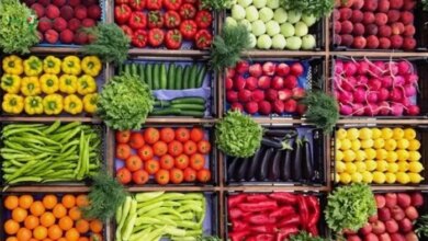 أسعار الخضروات والفاكهة وسعر الطماطم اليوم الاثنين 25 مايو 2026