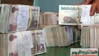 أعلى عوائد شهادات الادخار في مصر لعام 2026 بعد قرار البنك المركزي الكامل للشهادات البنكية