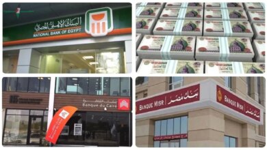 أفضل استراتيجيات الاستثمار لتحقيق أعلى العائدات بعد قرار البنك المركزي