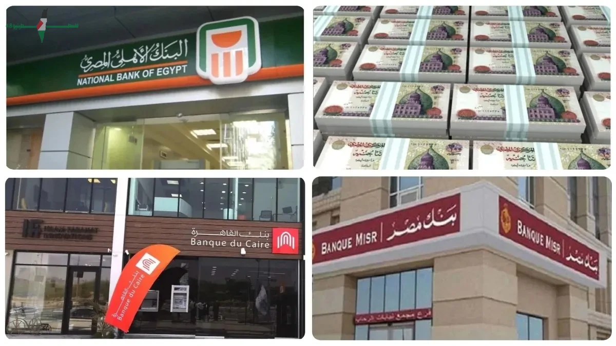 أفضل استراتيجيات الاستثمار لتحقيق أعلى العائدات بعد قرار البنك المركزي