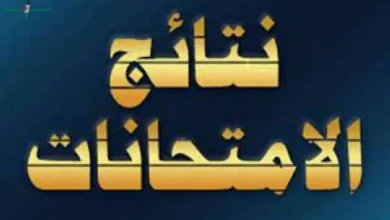 إعلان نتائج صفوف النقل لعام 2026 الترم الثاني وخطوات الاستعلام عبر بوابة التعليم الأساسي