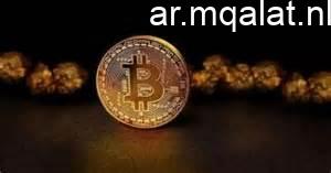 ارتفاع سعر البيتكوين بدعم نتائج إنفيديا وتراجع مخاوف التوتر في الشرق الأوسط