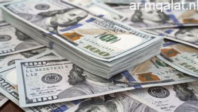 استقرار سعر الدولار اليوم في البنوك المصرية السبت وآخر المستجدات في سوق الصرف