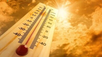 الأرصاد تحذر من استمرار ارتفاع درجات الحرارة إلى 43 درجة في أغلب الأنحاء
