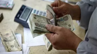 البنوك تتصدر المنافسة على أعلى عوائد شهادات الادخار بعد تثبيت أسعار الفائدة