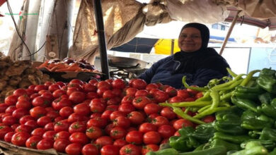 التموين تطرح كميات كبيرة من الطماطم بأسعار 20 جنيه للكيلو في المجمعات الاستهلاكية