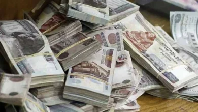 الحكومة المصرية تصرف منحة مالية قبل عيد الأضحى 2026 للفئات المستحقة وموعد الصرف
