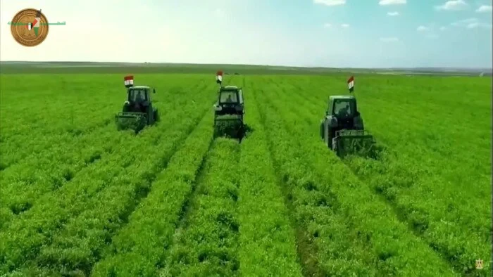 الدلتا الجديدة تحول المياه المهدرة إلى شريان حياة يعزز الأمن الغذائي