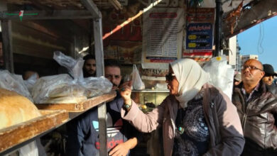 السلطات تحرر 26 محضر مخالفات ضد مخابز بلدية وسياحية في محافظة الغربية