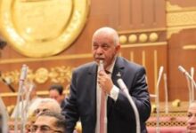 النائب حازم الجندي يثمن خطة وزير التموين لتطوير منظومة الدعم وتحقيق عدالة اجتماعية جديدة