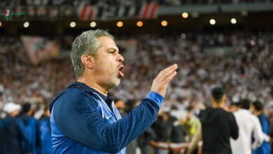 الوطن سبورت يحدث فجرا في الزمالك أول تحرك لحل أزمة القيد ورد فعل معتمد تجاه واقعة بنتايج