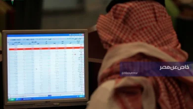 بورصة وتداول السعودية اليوم سهم المملكة يحقق أعلى مستوى تاريخي والراجحي يتفوق على أرامكو في الأكثر نشاطًا