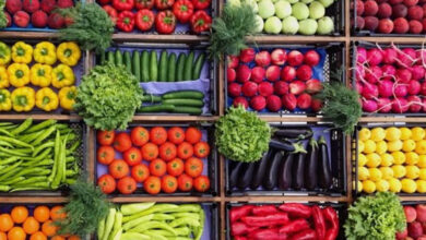 تعرف على نظام الطيبات للدكتور ضياء العوضي وما يثيره من جدل واسع
