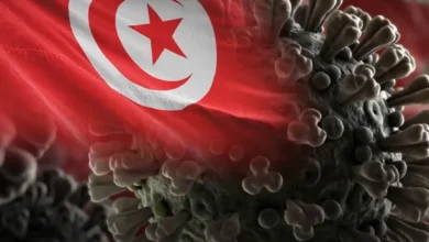 تونس تعزز التدابير الصحية في كافة المطارات والمعابر الحدودية للوقاية من مخاطر فيروسي إيبولا وهانتا