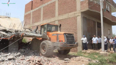 جهود مستمرة لحماية الأراضي ومنع التعديات خلال رابع أيام عيد الأضحى في مجال الزراعة