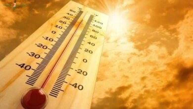 حالة الطقس في مصر اليوم السبت ارتفاع الحرارة ونشاط للرياح