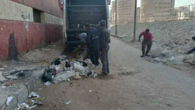 حملات نظافة مكثفة في أسيوط قبل عيد الأضحى لضبط لحوم فاسدة وتعزيز النظافة