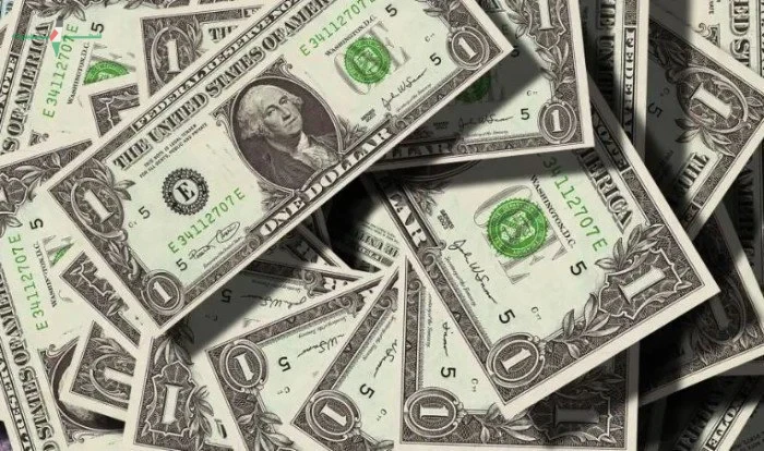 سعر الدولار اليوم مقابل الجنيه المصري في البنوك تعرف على آخر مستجداته
