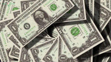 سعر الدولار في مصر اليوم الأربعاء 20 مايو 2026 بكام النهاردة