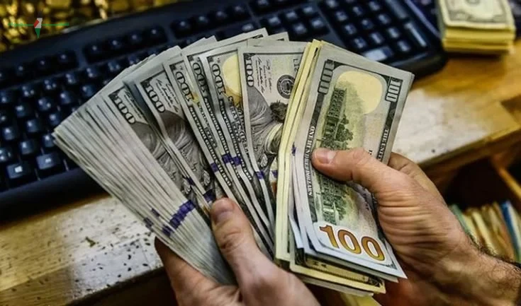 سعر الدولار مقابل الجنيه المصري اليوم الخميس 21 مايو 2026 في البنوك قبل اجتماع البنك المركزي
