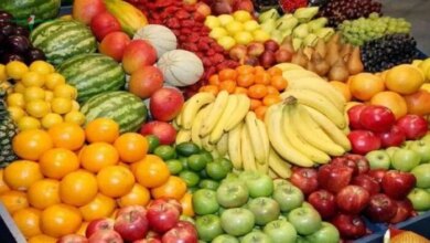 سعر الكنتالوب وأسعار الفاكهة في الأسواق اليوم الأربعاء 20 مايو 2026