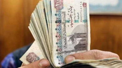 صرف منحتين دورية واستثنائية للعمالة غير المنتظمة بقيمة ثلاثة آلاف جنيه لكل عامل