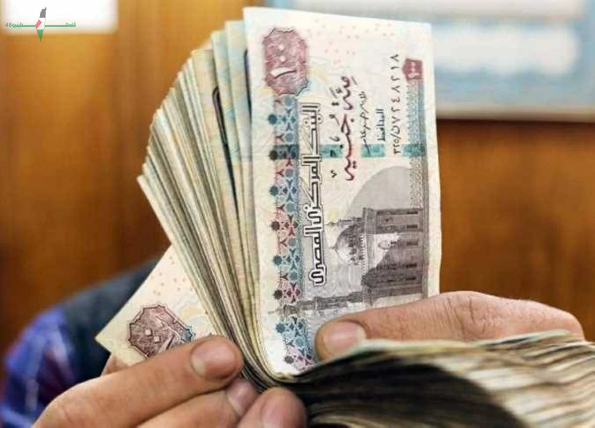 صرف منحتين دورية واستثنائية للعمالة غير المنتظمة بقيمة ثلاثة آلاف جنيه لكل عامل