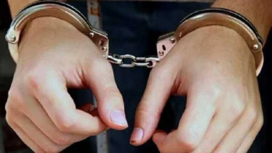 ضبط خمسة عناصر إجرامية تستحوذ على 90 مليون جنيه من تجارة المخدرات