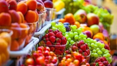 فتح 4 أسواق تصديرية جديدة للبرتقال والعنب وشتلات الفراولة في الأمريكتين