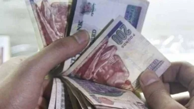 قانون الضمان الاجتماعي الجديد يوفر دعم نقدي وإعفاءات تعليمية للمستحقين بهدف تحسين الحماية الاجتماعية