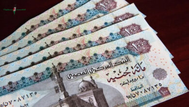 كيفية التسجيل للحصول على منحة العمالة غير المنتظمة بقيمة 3000 جنيه قبل عيد الأضحى