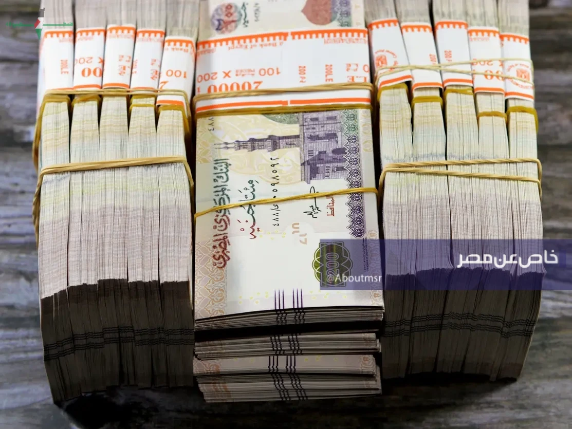 كيفية تحقيق دخل شهري يصل إلى 20 ألف جنيه من شهادات الـ17.25 عبر البنوك بطريقة فعالة