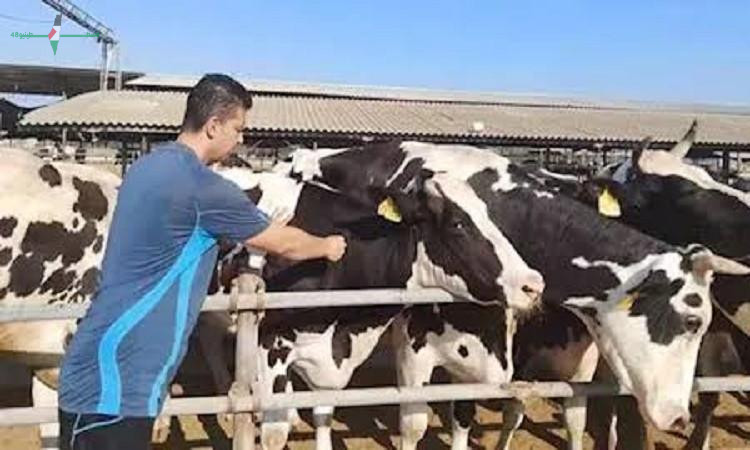 متحدث الزراعة يعلن رفع حالة الطوارئ استعدادا لاستقبال عيد الأضحى المبارك