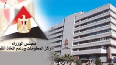 مجلس الوزراء يسلط الضوء على فرص وتحديات الاقتصاد الفضي