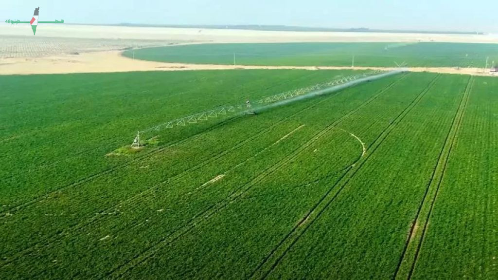 مجلس الوزراء يعلن توسعة مشروع الدلتا الجديدة ليشمل 22 مليون فدان بتكلفة 800 مليار جنيه