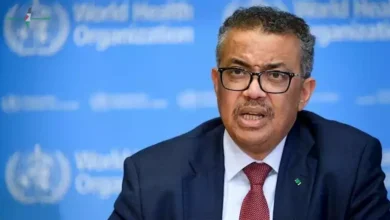 منظمة الصحة العالمية تكشف الحقائق الكاملة حول انتشار فيروس هانتا ومدى خطورته على الصحة العامة