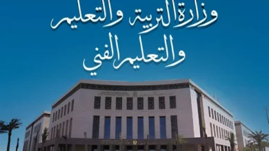 موعد إصدار نتيجة الصف الثالث الابتدائي لعام 2026 رسميا وكيفية الاستعلام عنها