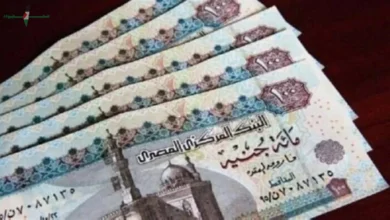 موعد صرف معاشات يونيو 2026 وأماكن التوزيع الرسمية تعرف عليها قبل الموعد