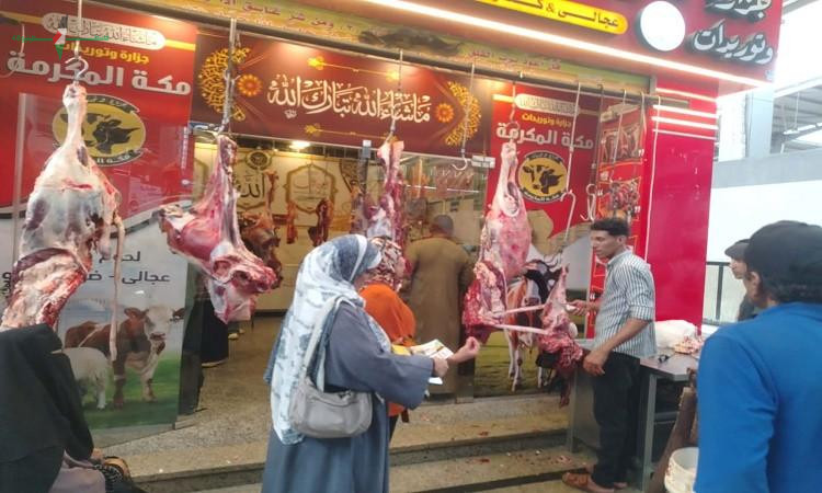 مياه البحر الأحمر تعلن عن رفع درجة الاستعداد القصوى لاستقبال عيد الأضحى