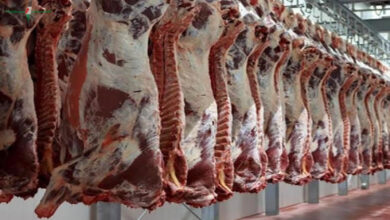 ميزانية العيد في ظل مبادرات دعم محدودي الدخل تبحث عن معادلة مناسبة لاحتياجات الأسر