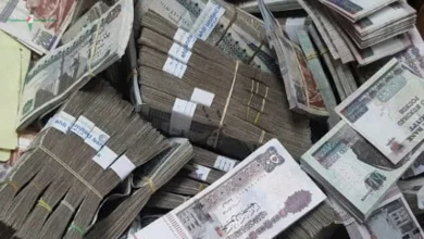 هل تتوقع مصر نجاح التحول من الدعم العيني إلى الدعم النقدي في المستقبل القريب