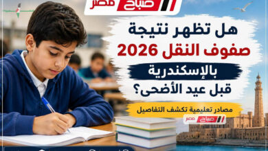 هل تظهر نتائج صفوف النقل بالإسكندرية قبل عيد الأضحى لعام 2026 مصادر تعليمية تكشف التفاصيل