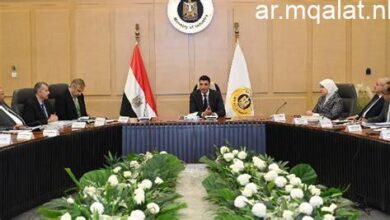 وزير الصناعة يبحث مع السفير الفرنسي تعزيز التعاون وتبادل التكنولوجيا في القطاع الصناعي