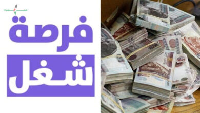 وظائف وزارة العمل بالسويس برواتب حتى 25000 جنيه للمؤهلات المتنوعة