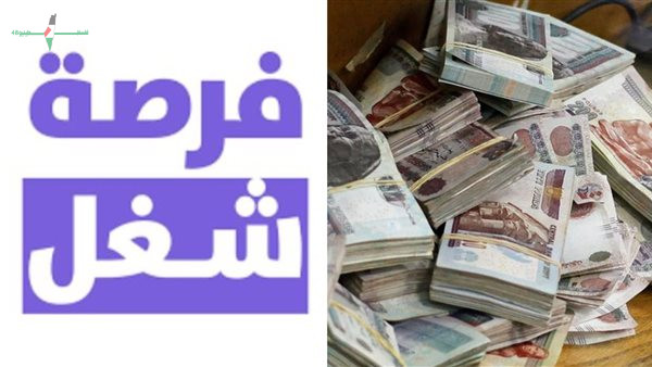 وظائف وزارة العمل بالسويس برواتب حتى 25000 جنيه للمؤهلات المتنوعة