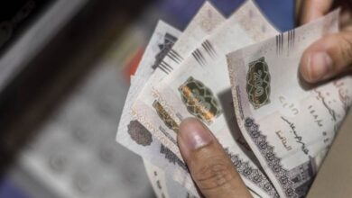 17500 جنيه شهريًا.. تفاصيل أعلى عائد شهادات البنك الأهلي المصري 2026